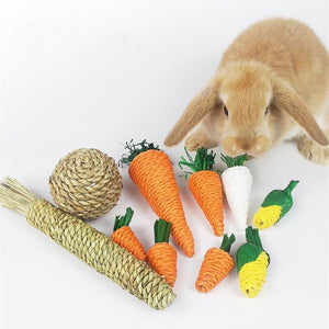 Hamster Rabbit Chew Toy Bite Grind Teeth Toys Corn Carrot Woven Balls for Tooth Cleaning Molar Small Animal Accessories Rabbit