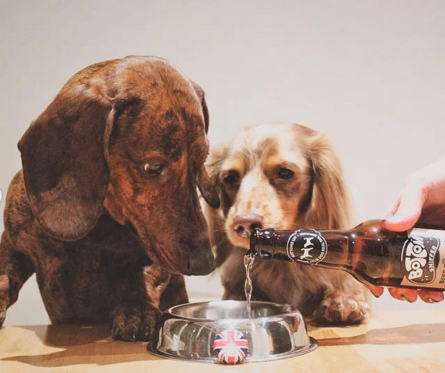 Bottom Sniffer Beer For Dogs