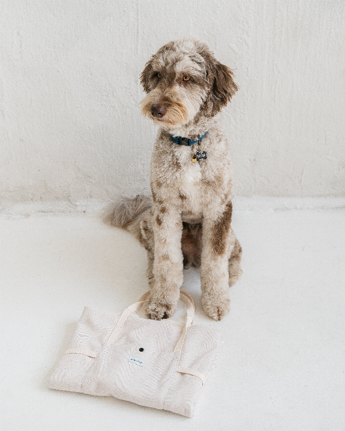 Portable Dog Bed