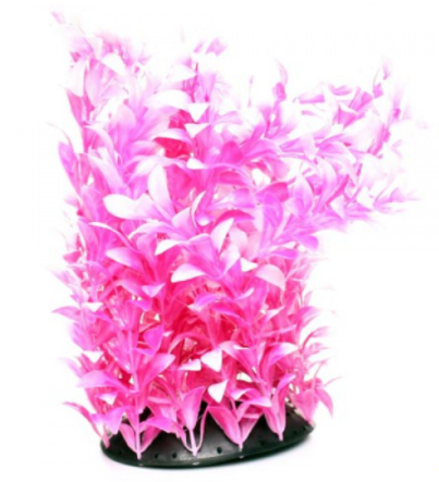 Underwater Treasures White Tipped Ludwigia - 12"