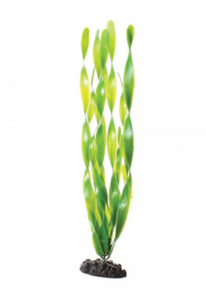 Underwater Treasures Green Jungle Vallisneria