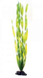 Underwater Treasures Green Jungle Vallisneria