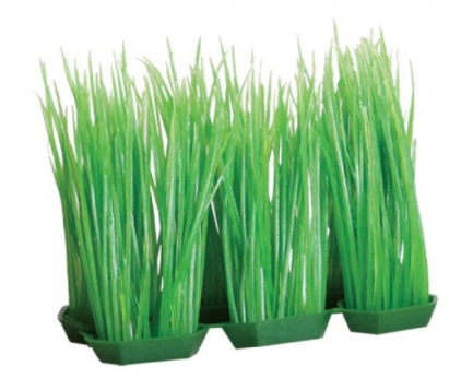 Underwater Treasures Foregrounder - Green Hairgrass (6 Pod) - 4"