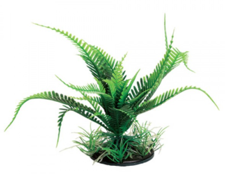 Underwater Treasures Weeping Fern - Green - 6"