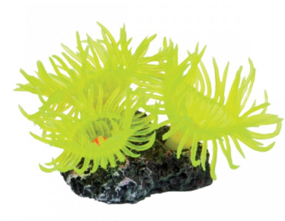 Underwater Treasures Mini Sun Polyp