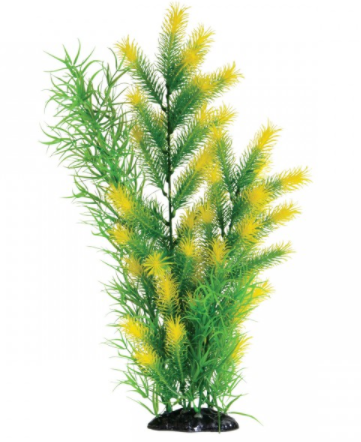 Underwater Treasures Morning Sun Fern - 20"