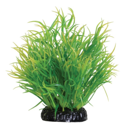 Underwater Treasures Lemon Grass - 6"