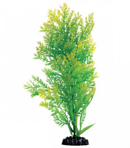 Underwater Treasures Water Violet 