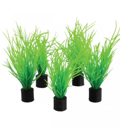 Underwater Treasures Mini Plant - Bog Grass - 3" - 5 pk