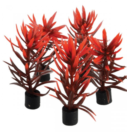 Underwater Treasures Mini Plant - Red and Brown - 3" - 5 pk