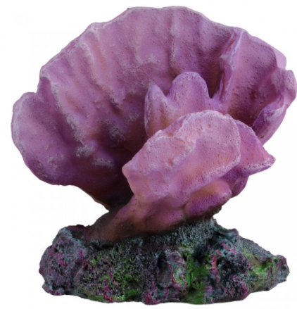 Underwater Treasures Acro Coral 