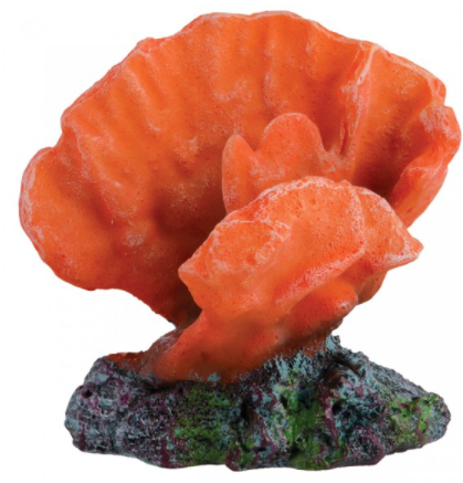 Underwater Treasures Acro Coral 