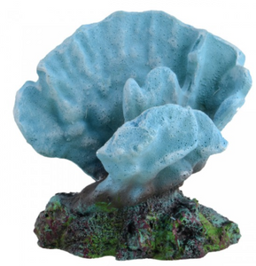 Underwater Treasures Acro Coral 