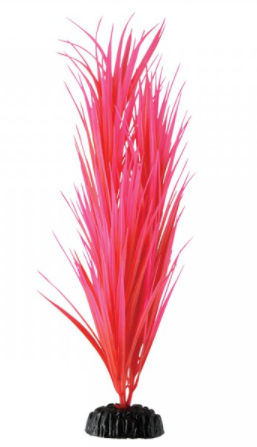 Underwater Treasures Rose Nile Grass - 14.25"