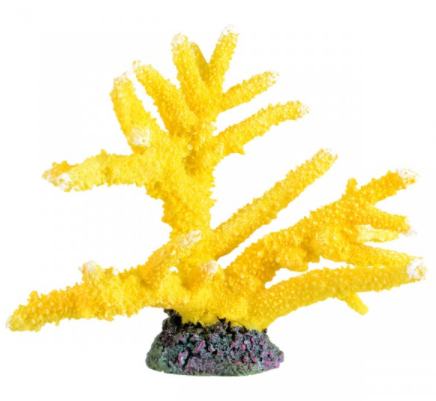 Underwater Treasures Branch Coral - Sun