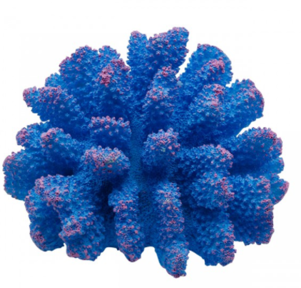 Underwater Treasures Polyped Coral 