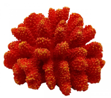 Underwater Treasures Polyped Coral 