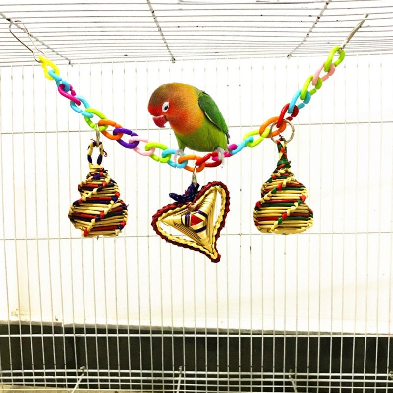 Parrot Colorful Acrylic Bridge