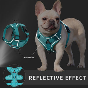 Adjustable Reflective Collars