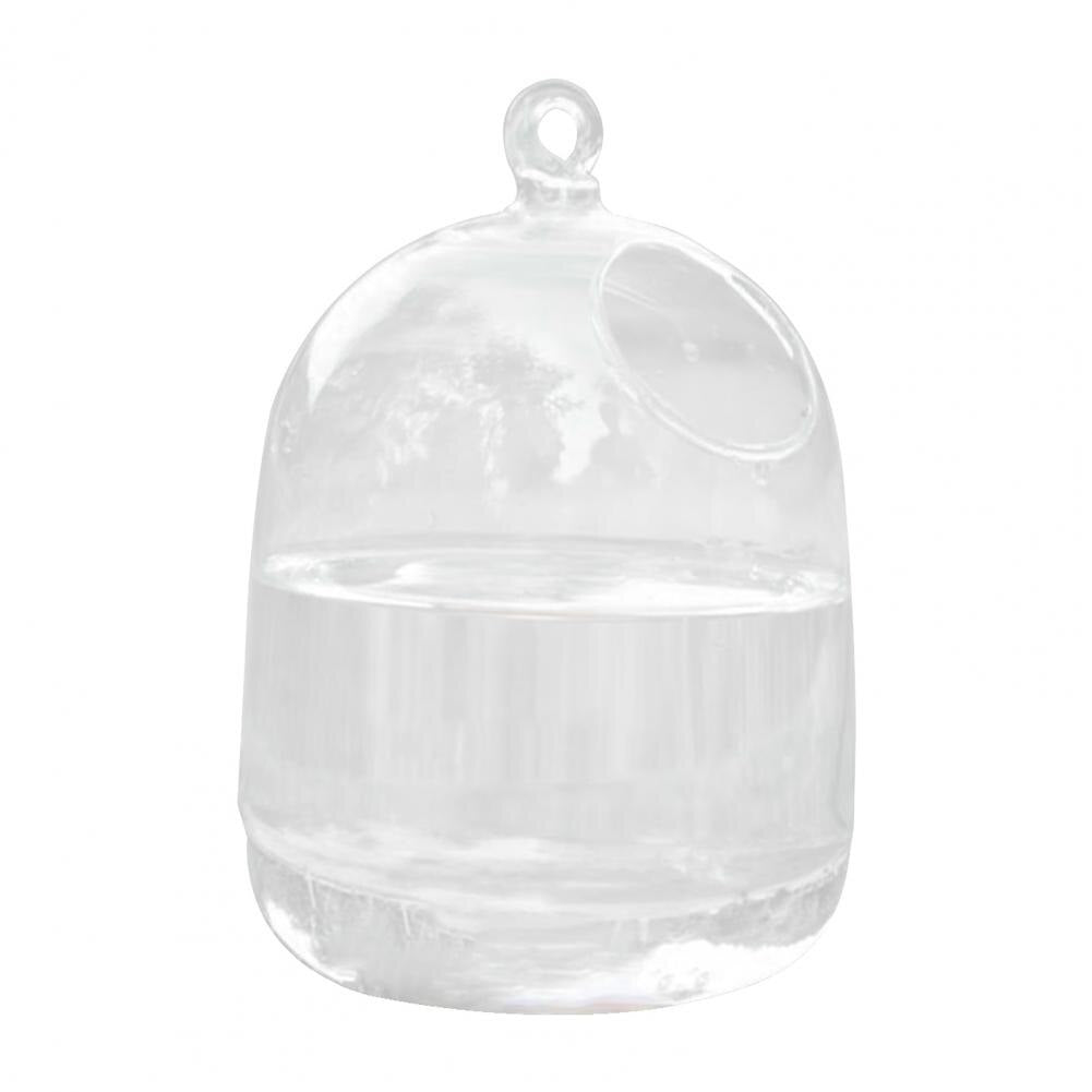 Hanging Glass Aquarium Fish Bowl