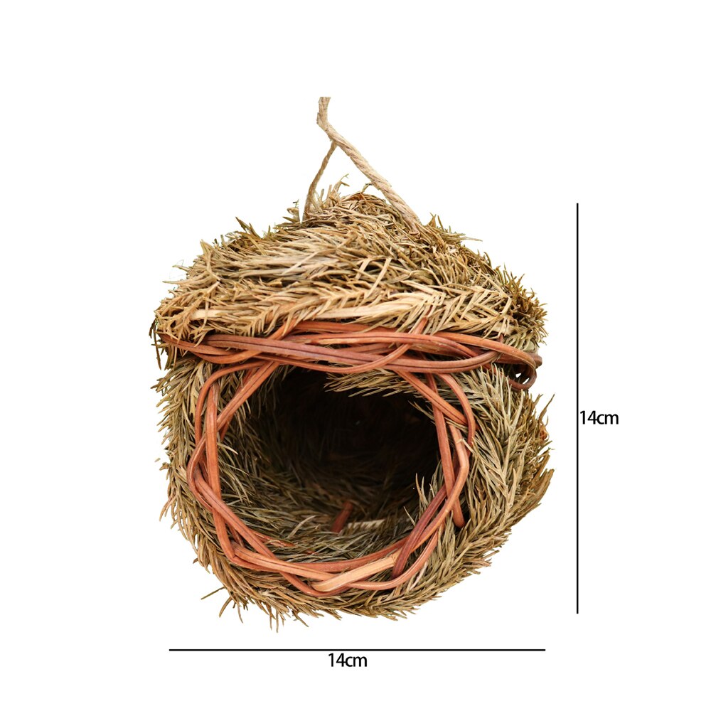 Little Bird Nest