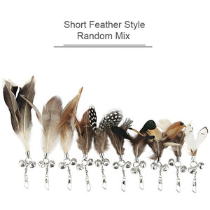 Short Feather Cat Toy