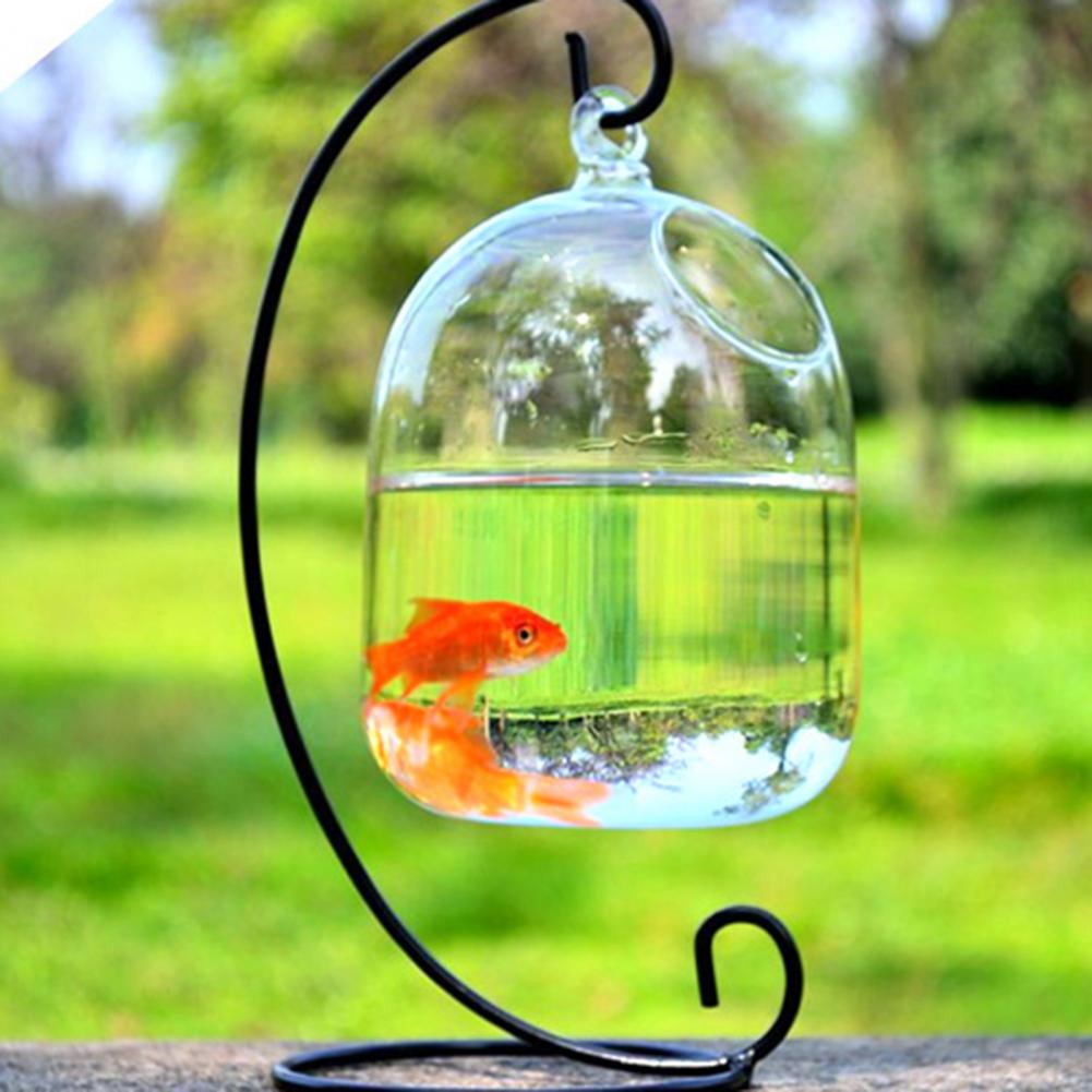 Hanging Glass Aquarium Fish Bowl