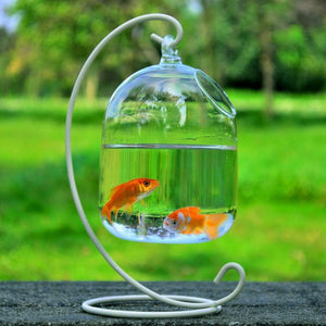 Hanging Glass Aquarium Fish Bowl