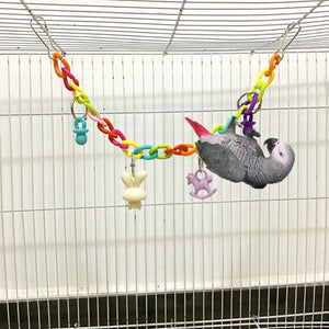 Parrot Colorful Acrylic Bridge