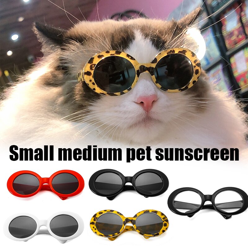 Cool Pet Glasses