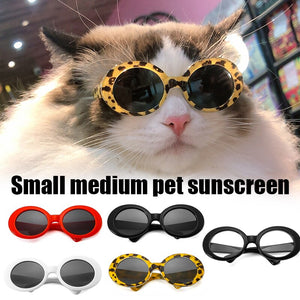 Cool Pet Glasses