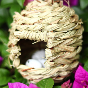 Little Bird Nest