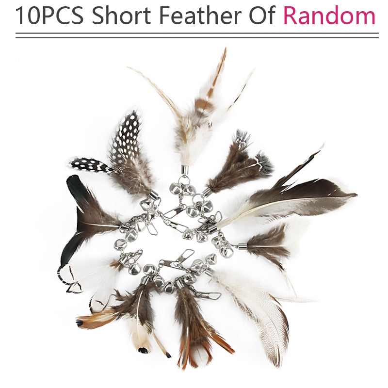 Short Feather Cat Toy