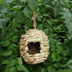 Little Bird Nest