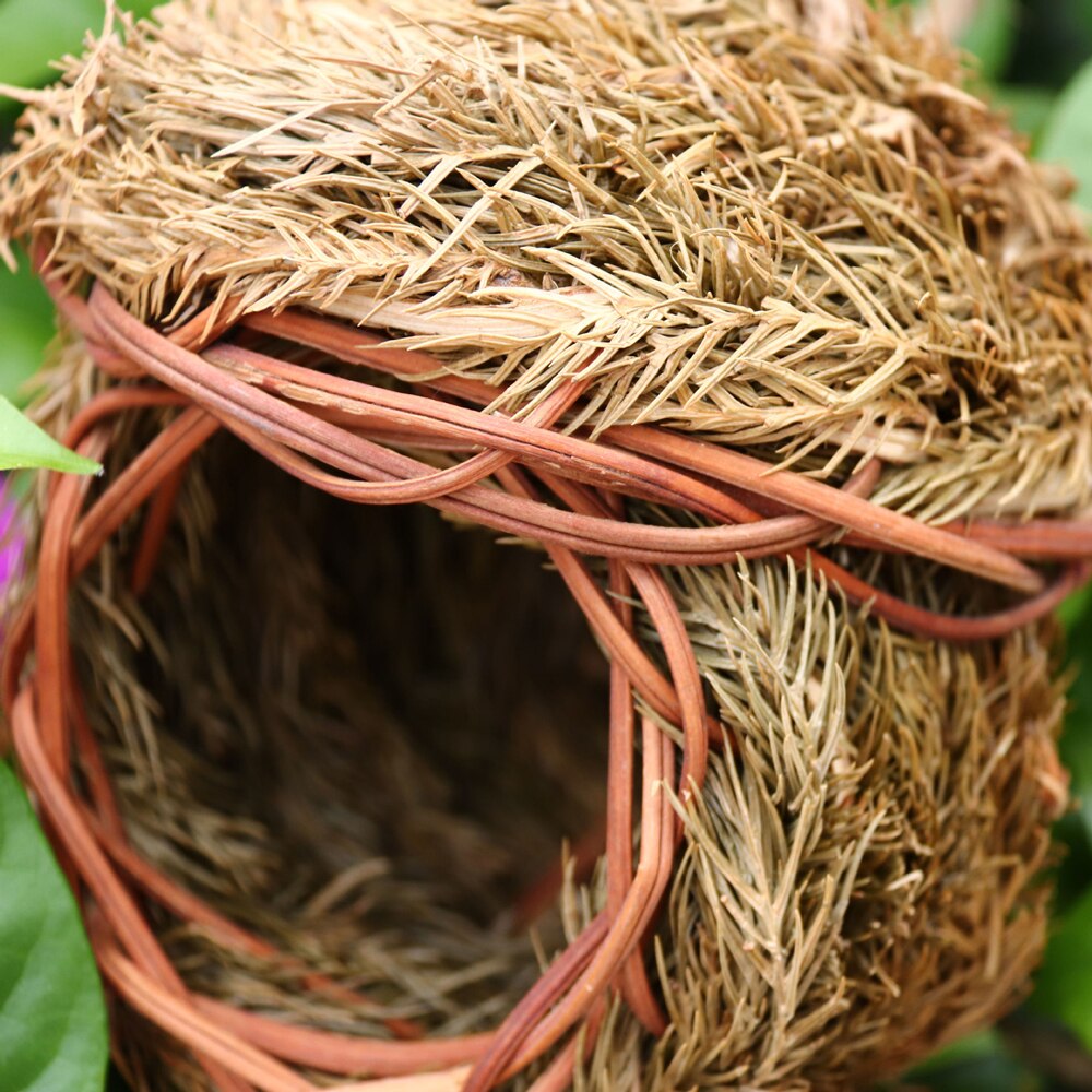 Little Bird Nest