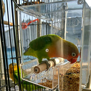 Parrot Spill Proof Feed Box