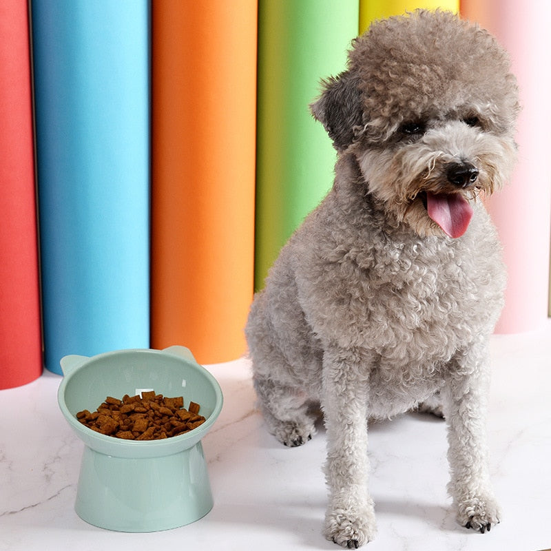 High Foot Pet Bowl