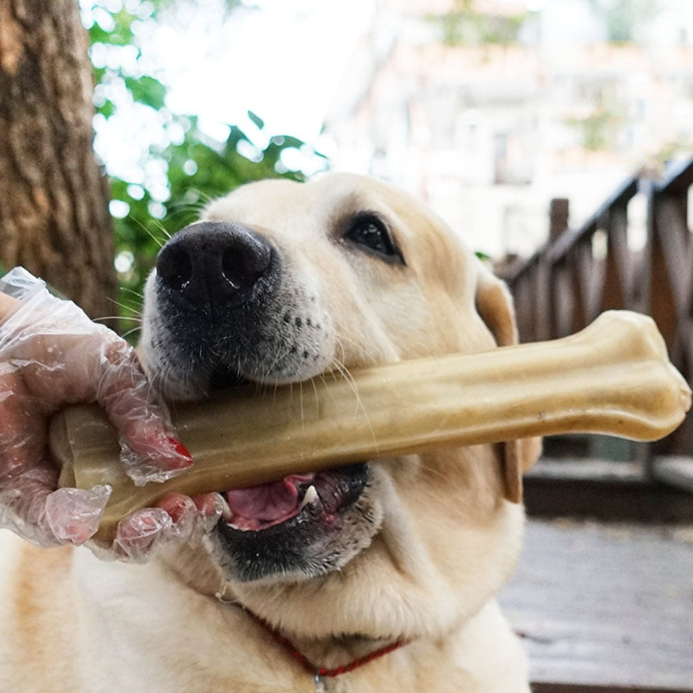 Dog Toy Bones