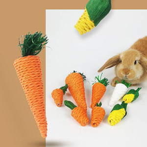 Rabbit Chew Toy