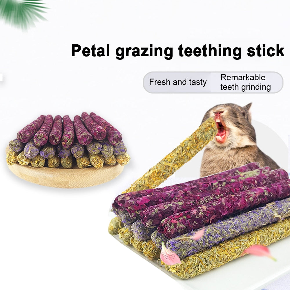 Molar Chewing Toys