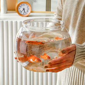 Aquarium Centerpiece Decorative Fish Stones Bowl