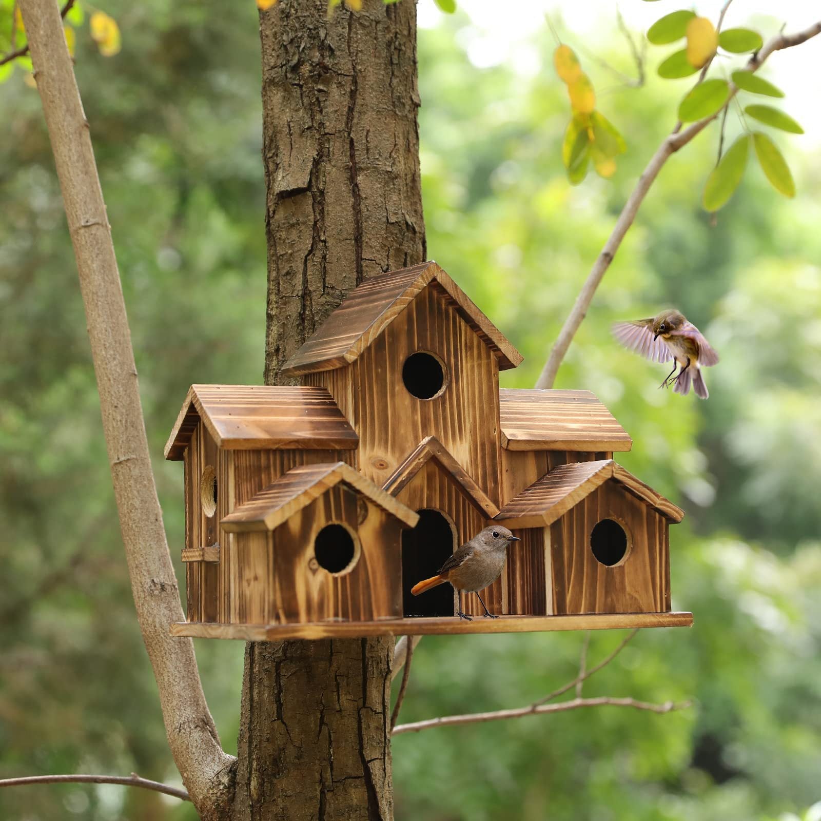 Handmade Natural Wood Bird House