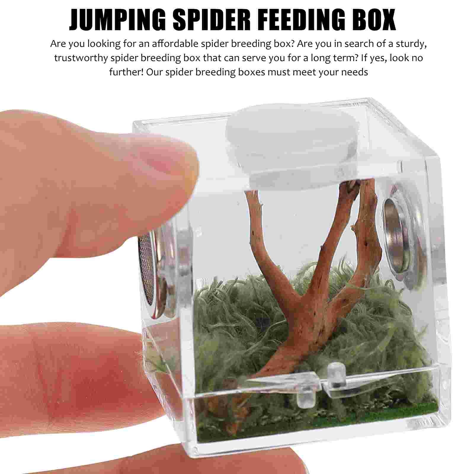 Spider Habitat Box