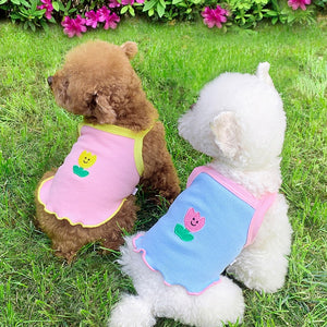 Dog Summer Clothes